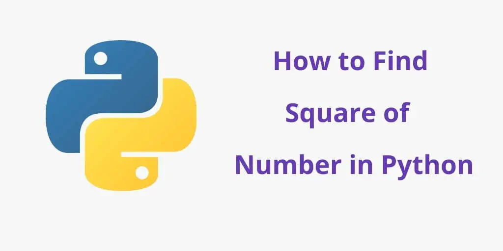 Python Program to Find Square of  a Number