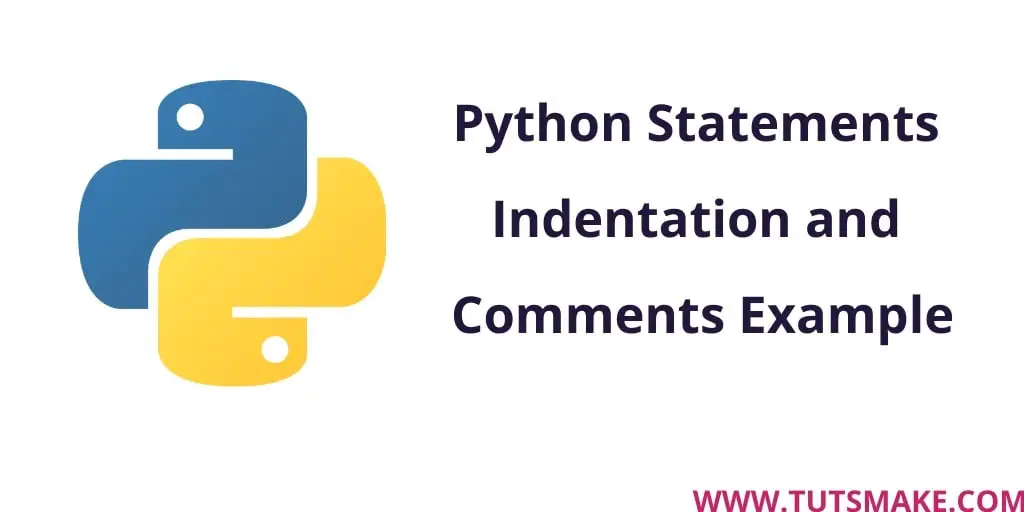 Python Statements Indentation and Comments Example