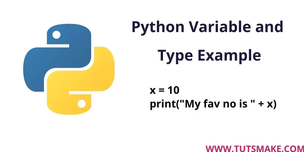 Python Variable and Type Example