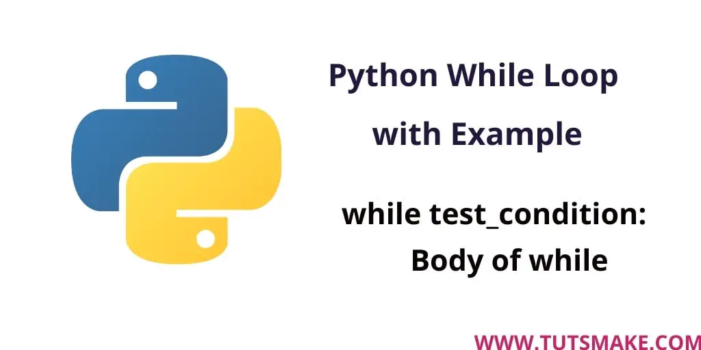 Python While Loop with example