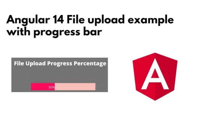 Angular 14 File upload example with progress bar