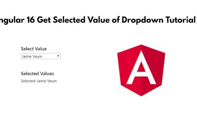 Angular 16 Get Selected Value of Dropdown Tutorial