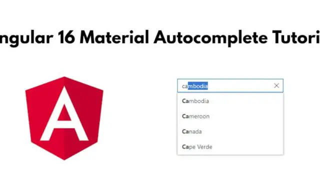 Angular 16 Material Autocomplete Tutorial