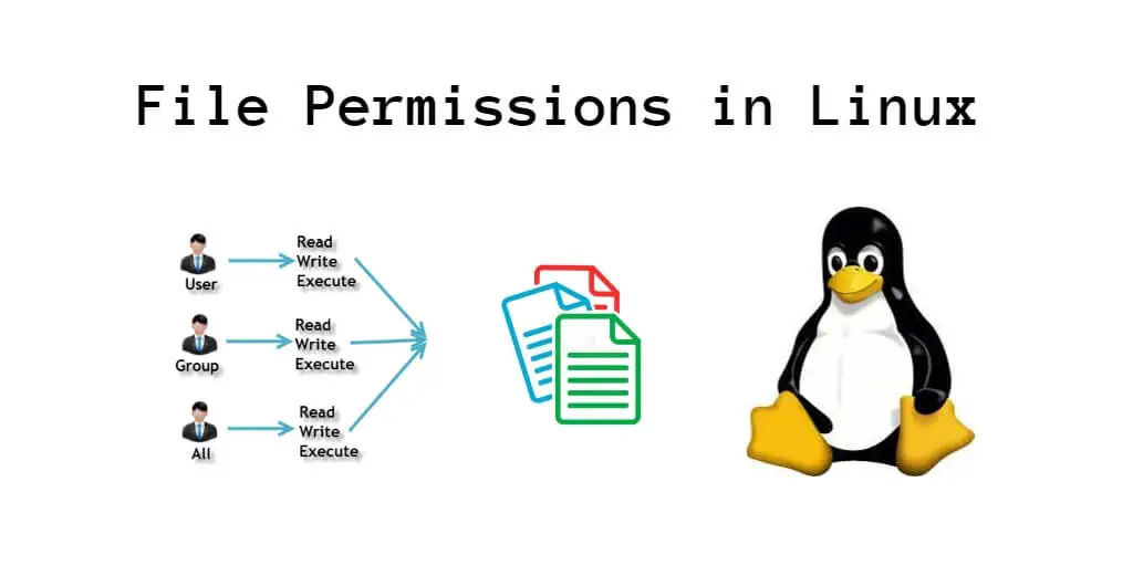 File Permissions Command in Linux with Examples