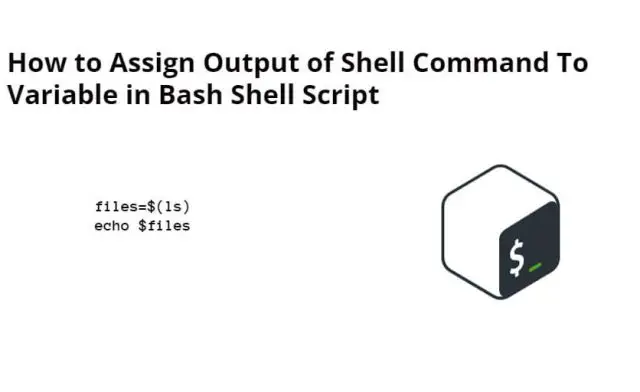 How to Assign Output of Shell Command To Variable in Bash Shell Script