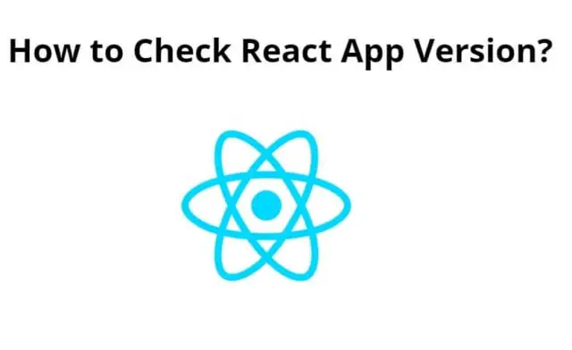 How to Check React App Version?