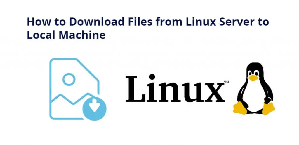 How to Download Files from Linux Server to Local Machine