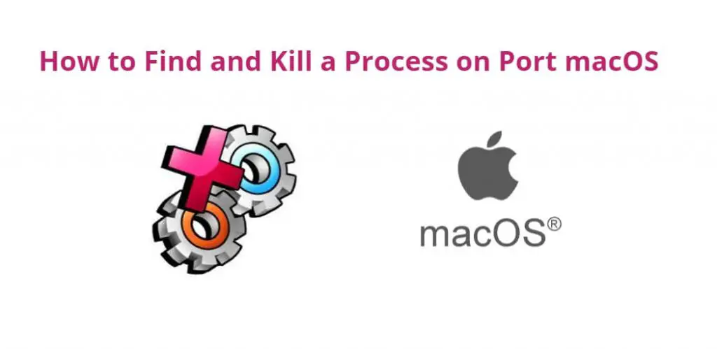 Find and Kill Process on Port macOS