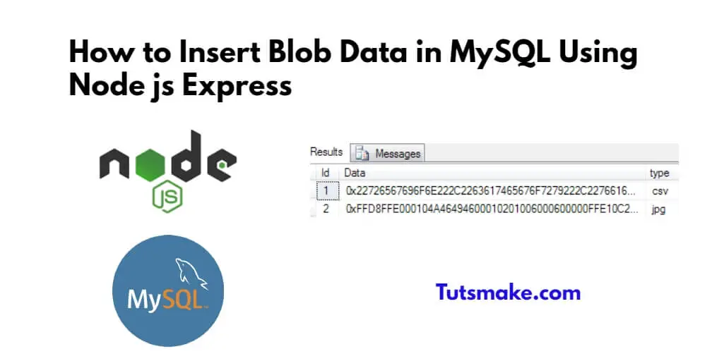 How to Insert Blob Data in MySQL Using Node js Express