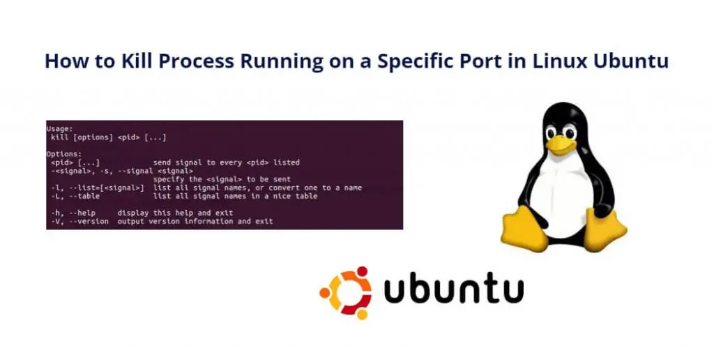 Kill Process on Specific Port Ubuntu Linux