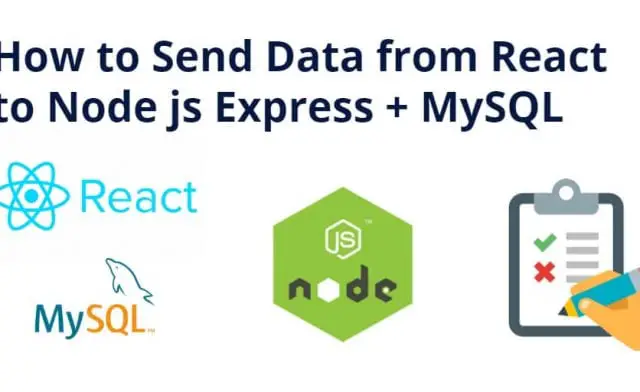 How to Send Data from React to Node js Express + MySQL