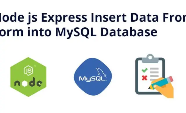 Node js Express Insert Data From Form into MySQL Database