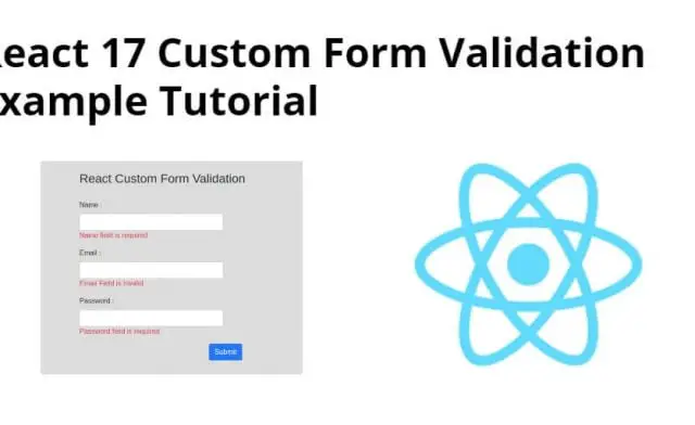 React js Custom Form Validation Tutorial Example