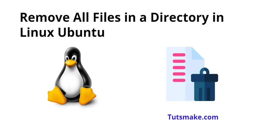 Remove All Files in Directory in Linux Ubuntu