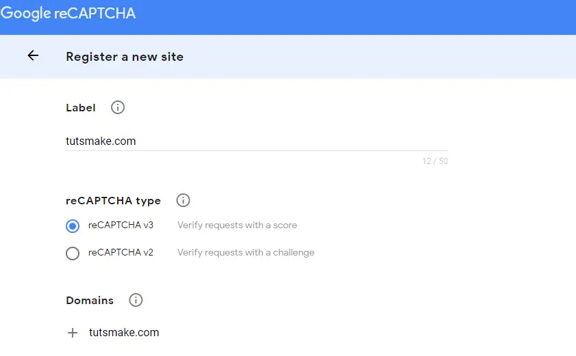 Google reCaptcha php Codeigniter